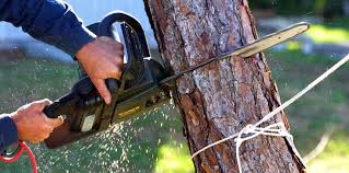Best Soil Testing and Treatment  in Rosedale, WA