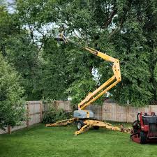 Best Organic Lawn Care Solutions  in Rosedale, WA