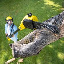 Best Lawn Watering Services  in Rosedale, WA