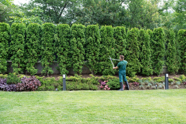 Rosedale, WA Tree Removal Company